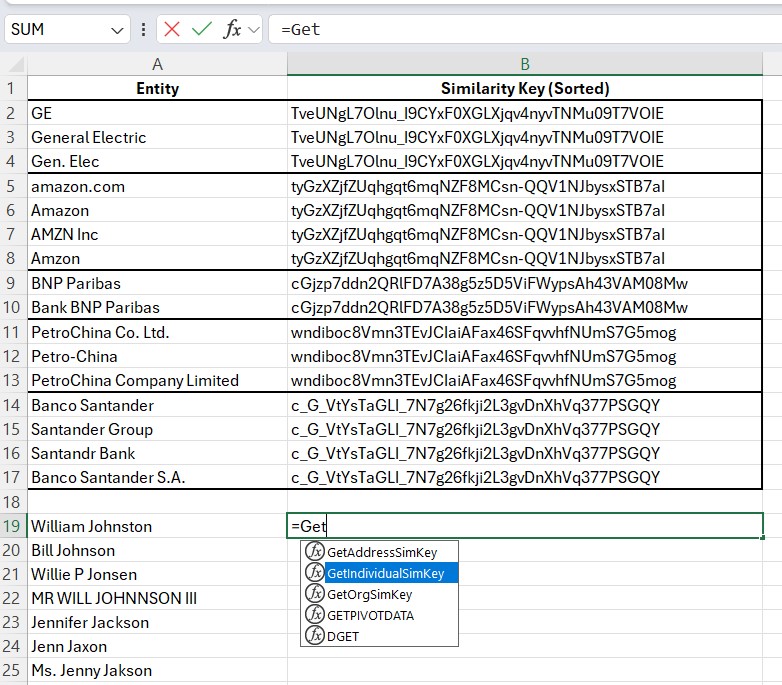 Excel Fuzzy Matching Workbook Screenshot